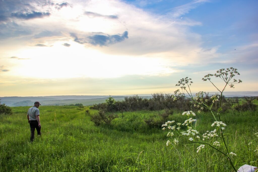 Exkursionen in der Eifel zum Geisterdorf Wollseifen