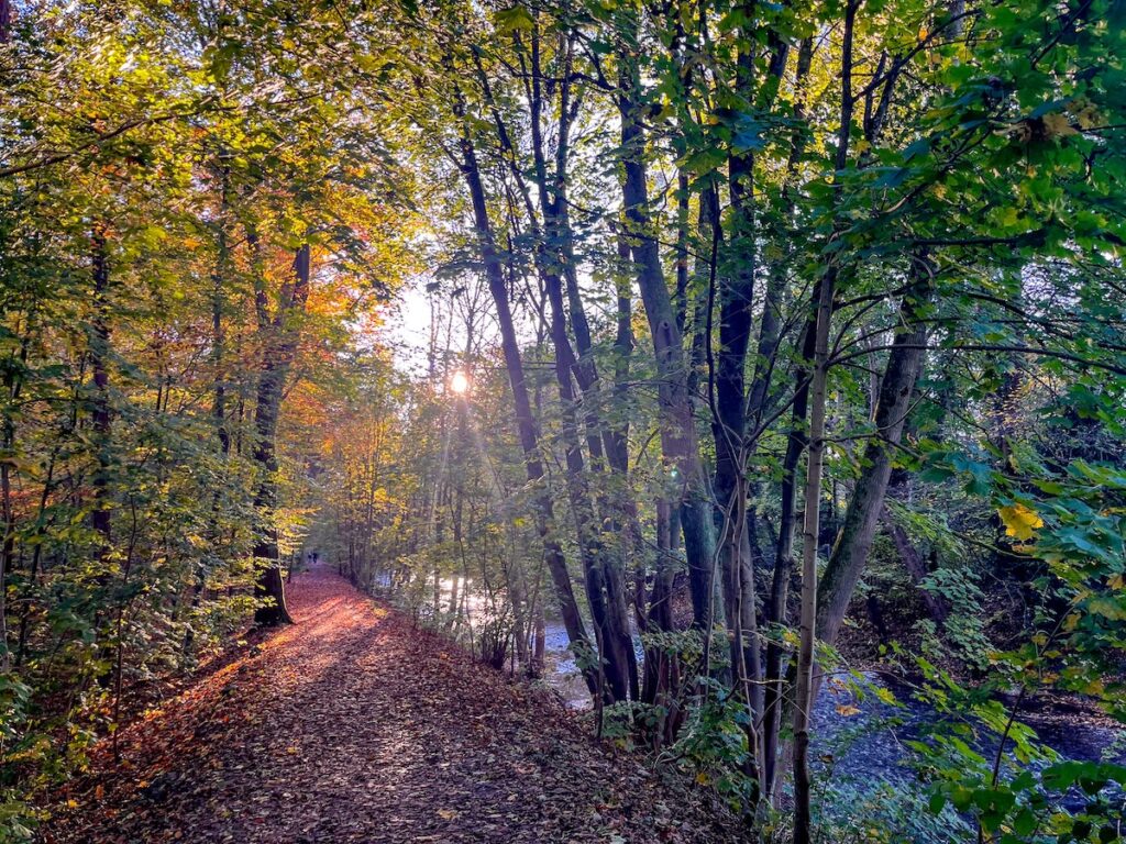 Wanderwege entlang der Dhünn  