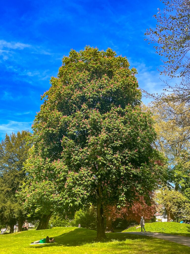 Das Gartenreich Schlebusch