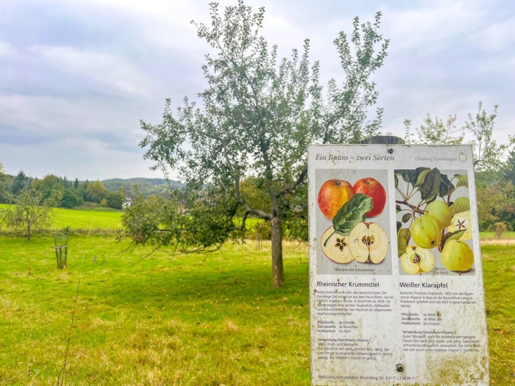 Schöne Bergische Orte bieten auch schöne Wandermöglichkeiten