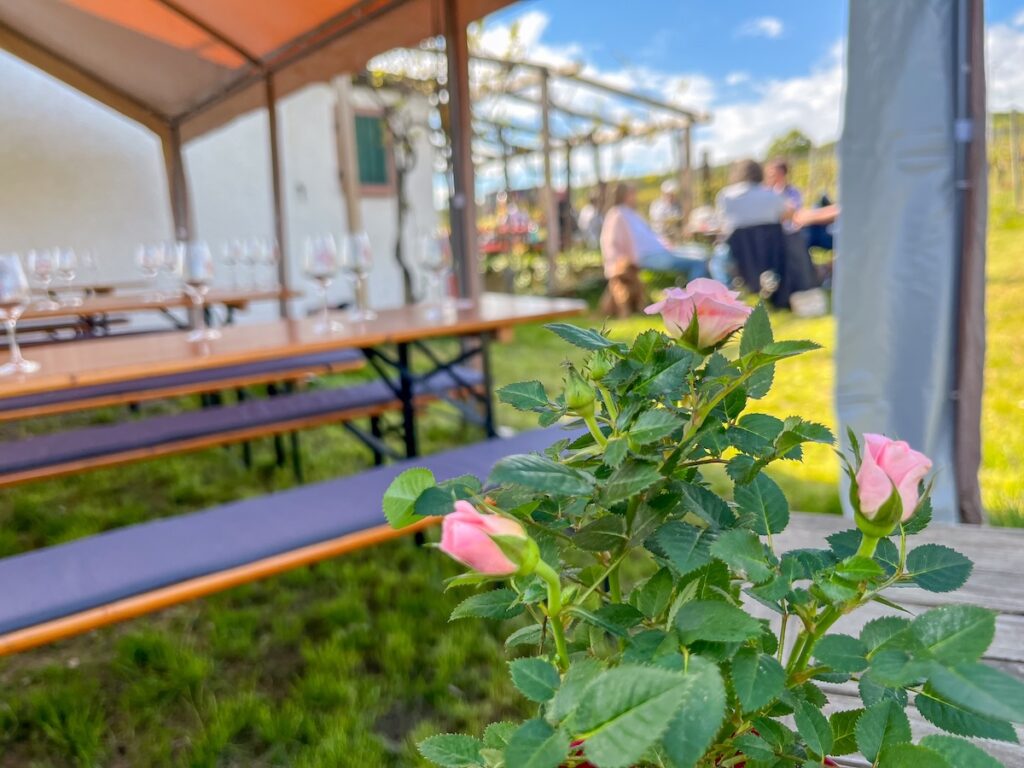 Rheingau Guide: Straußenwirtschaft in Oestrich-Winkel