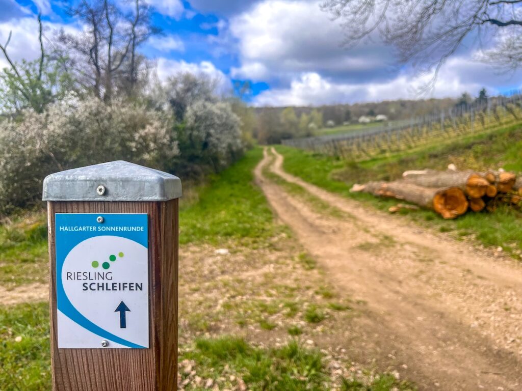 Die 14 neuen Riesling-Schleifen im Rheingau