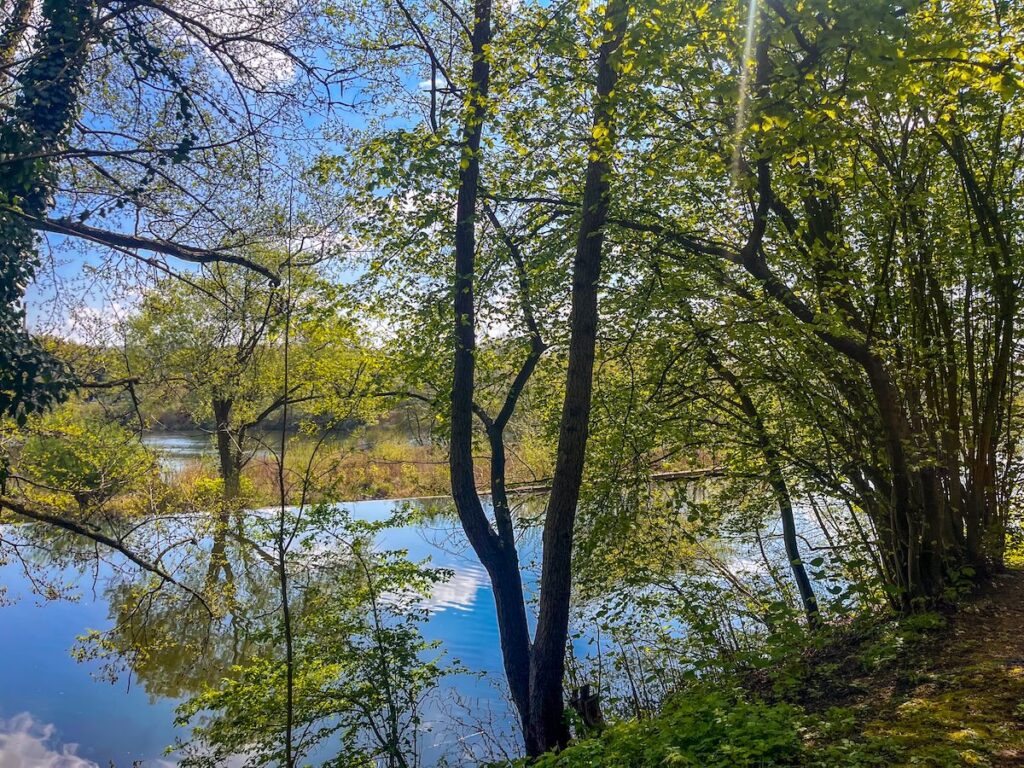 Spektakuläre Saarner Ruhrauen