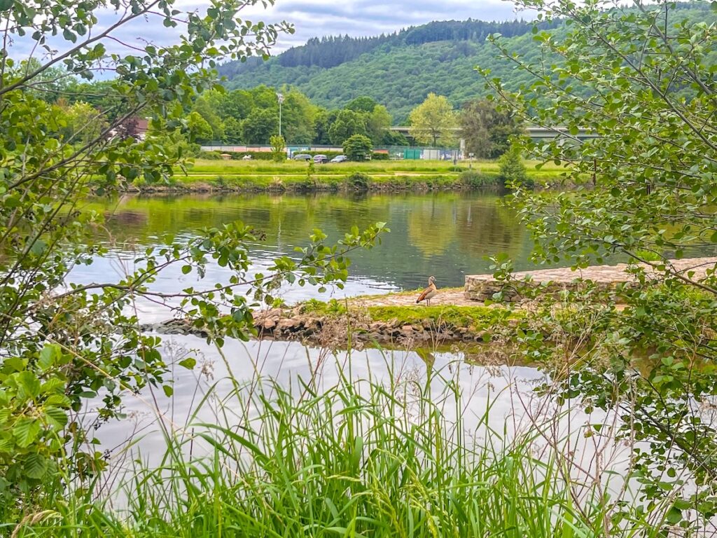 Fluss-Promenade in der Kleinstadtperle Saarburg 