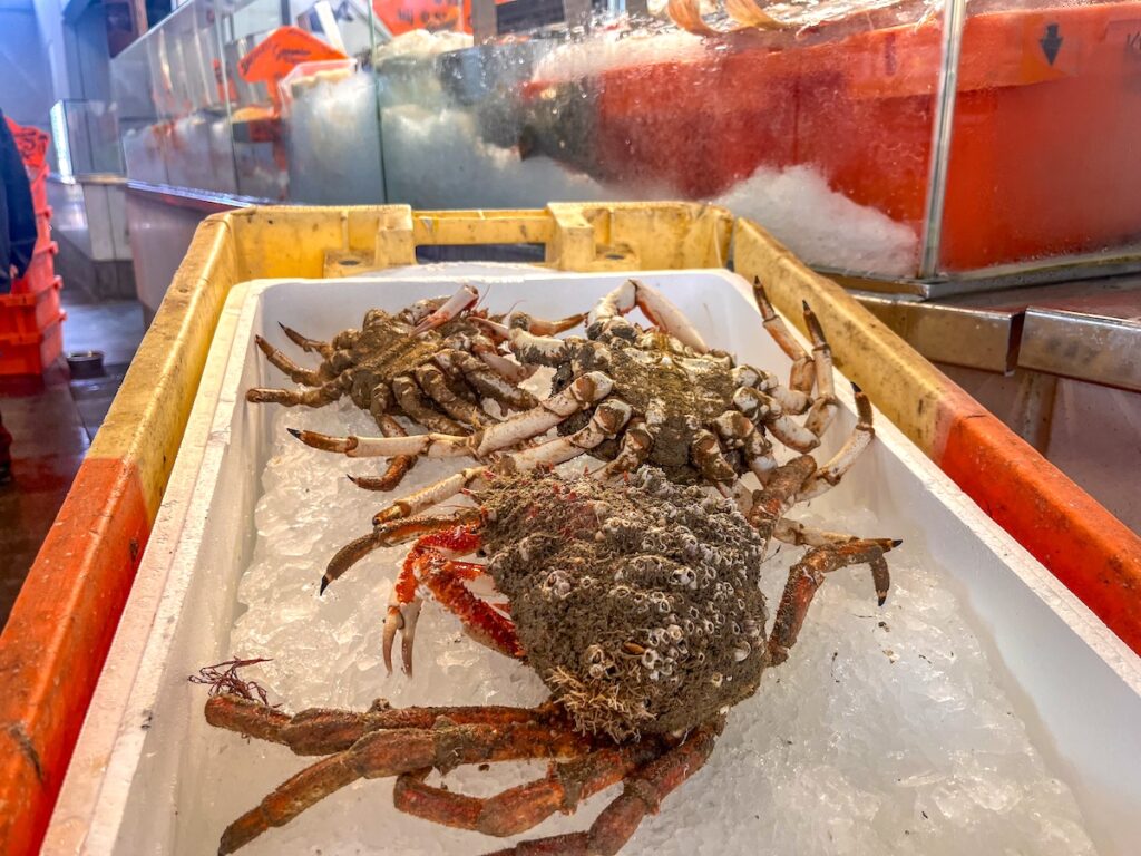 Auf dem Fischmarkt von Ostende gibt es allerlei Getier