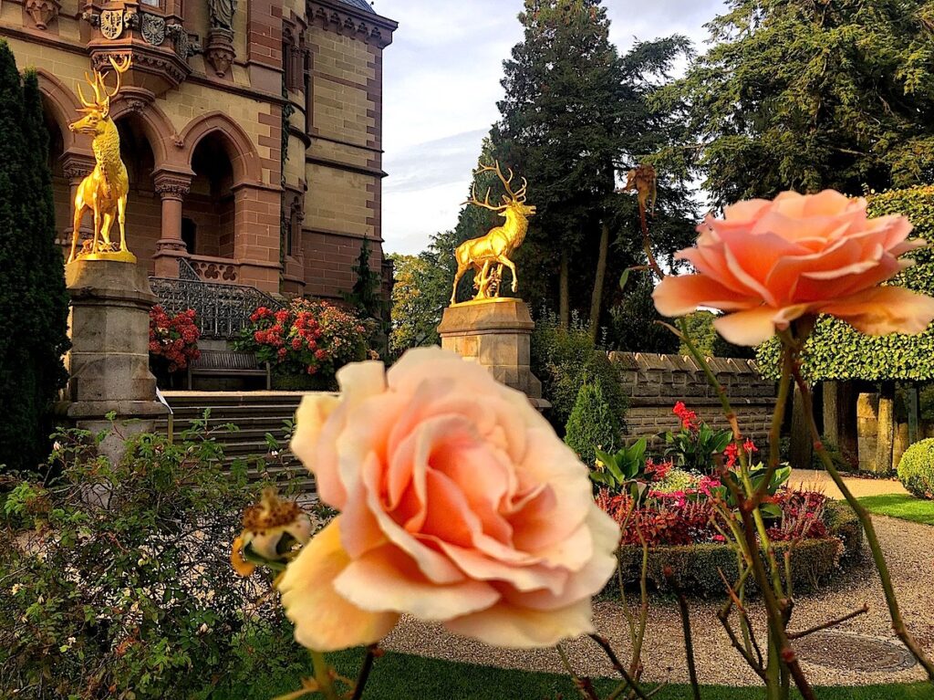 Märchenschloss am Rhein - Schloss Drachenburg