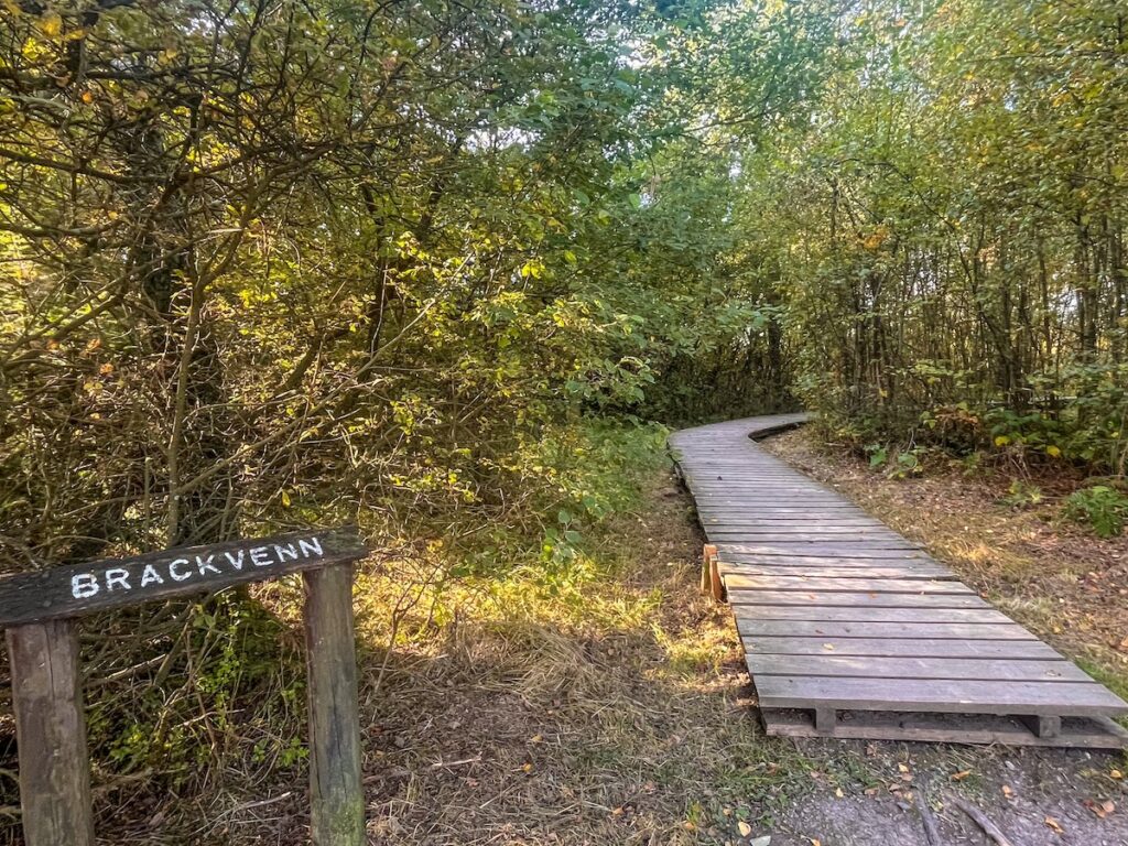 Wandern über Holzstege im Brackvenn – 6,8 Kilometer Tour