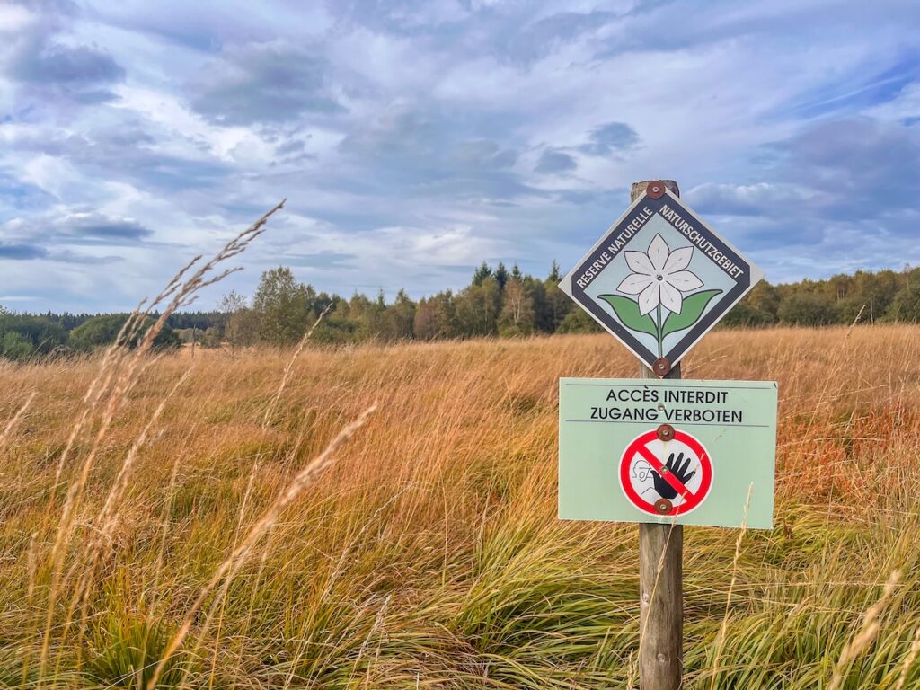 Strafen bei Missachtung der Verbote im Hohen Venn