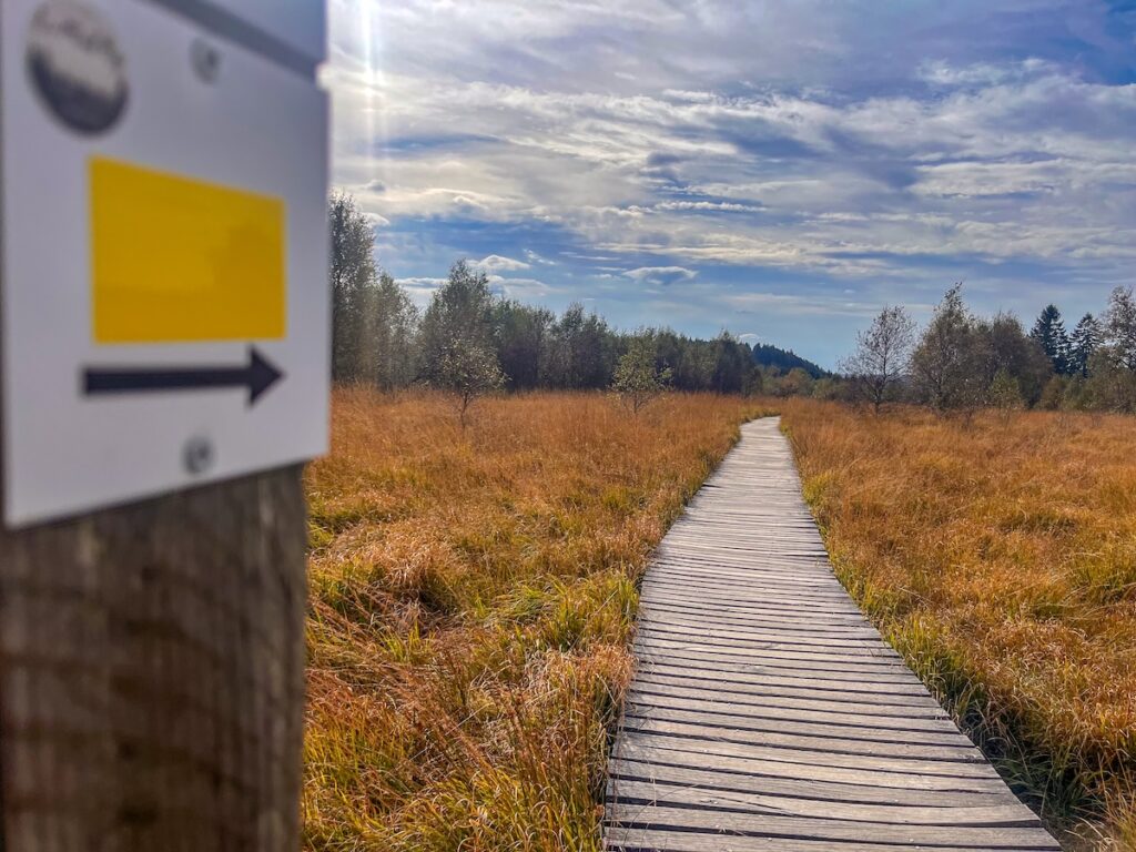 Wandern im Hohen Venn über schwingende Holzstege