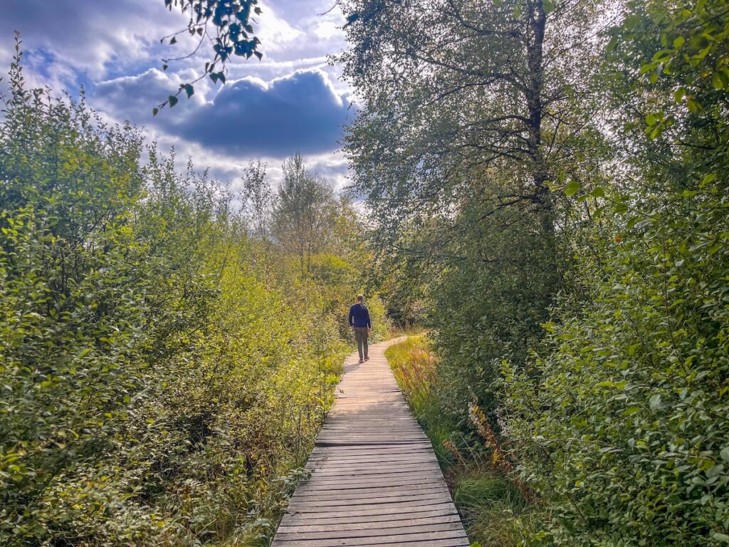 Neuer Wanderweg im Fagne de Polleur